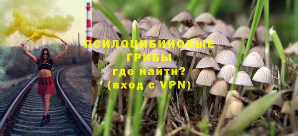 эйфоретик Бронницы